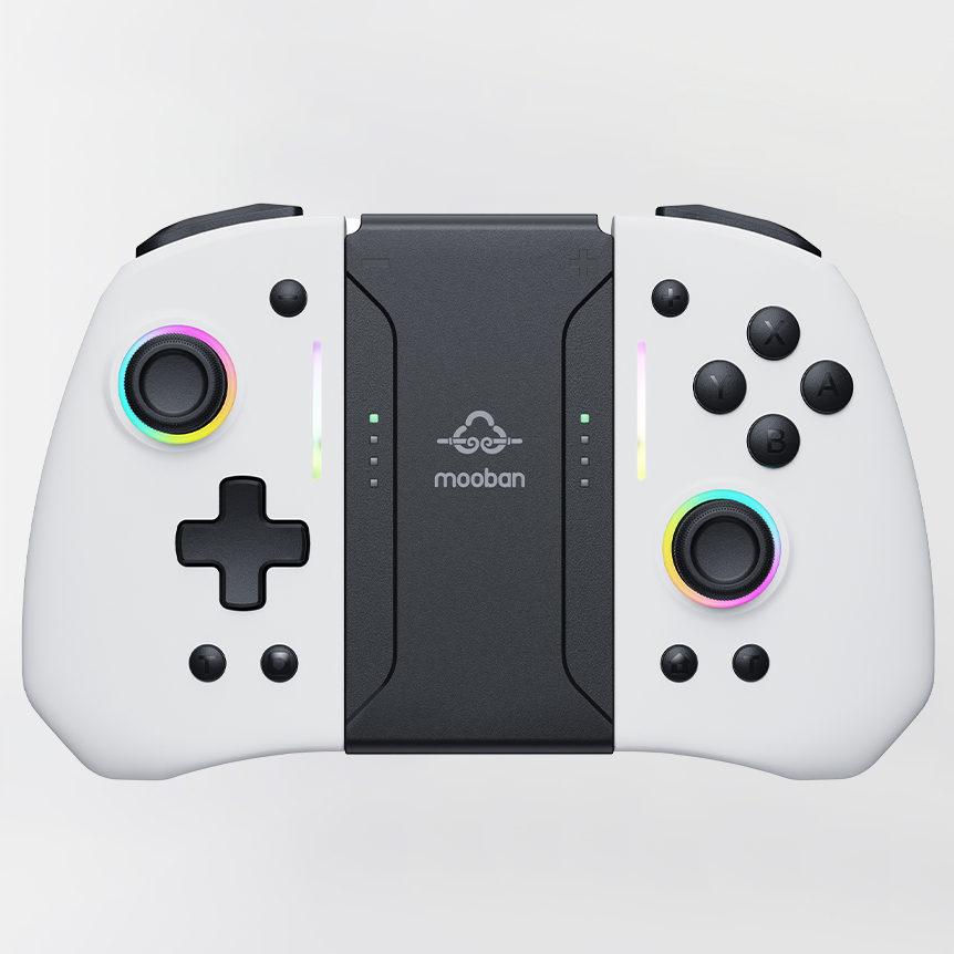 For Nintendo Switch & OLED & L - Wireless Retro Controller Bluetooth Gamepad 评论和价格